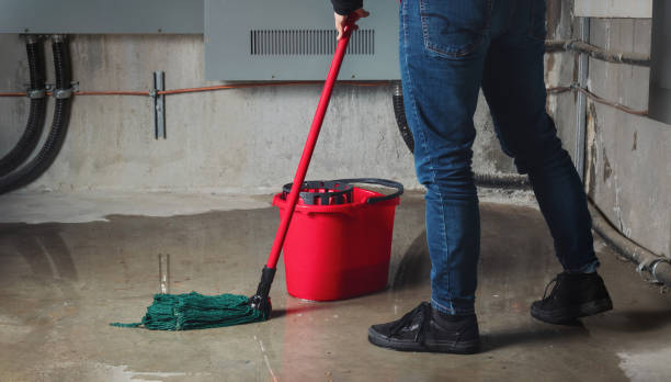 Best Flooded house restoration  in Pontiac, MI