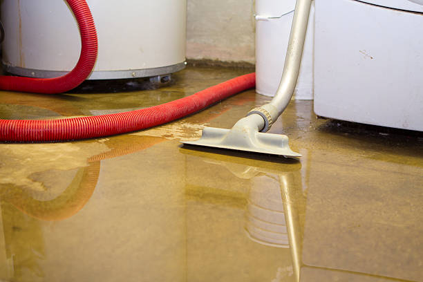 Best Flood restoration services  in Pontiac, MI